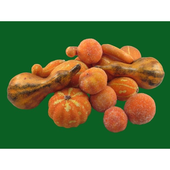 Variety of 14 Fall Decorative Artificial Pumpkins Squash Home Decor - Picture 4 of 12